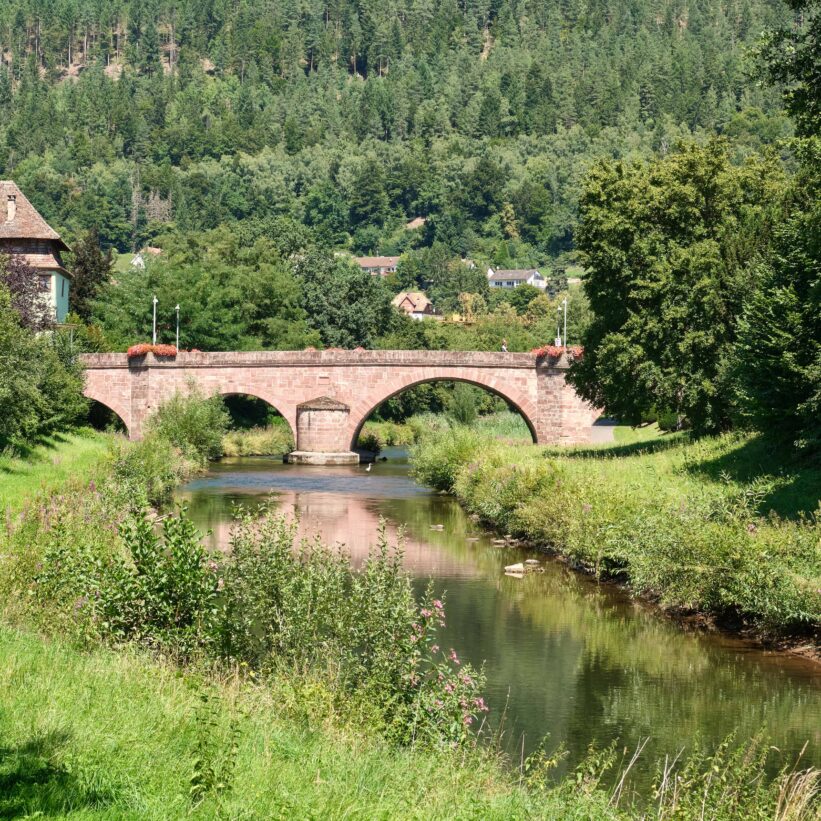 Eine Brücke, die über einen Fluss gebaut ist steht vor einer Wald-Szenerie.
