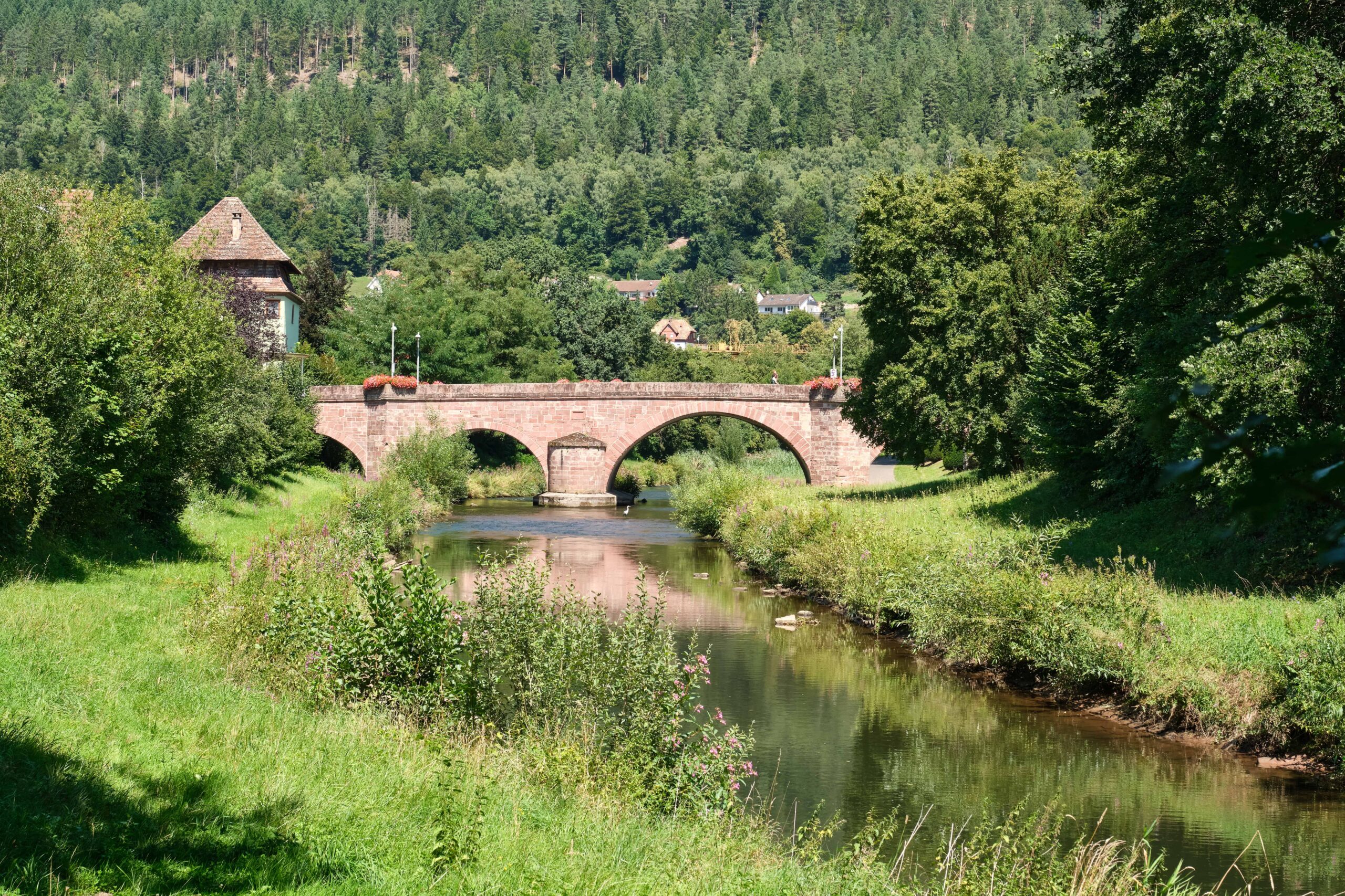 Eine Brücke, die über einen Fluss gebaut ist steht vor einer Wald-Szenerie.
